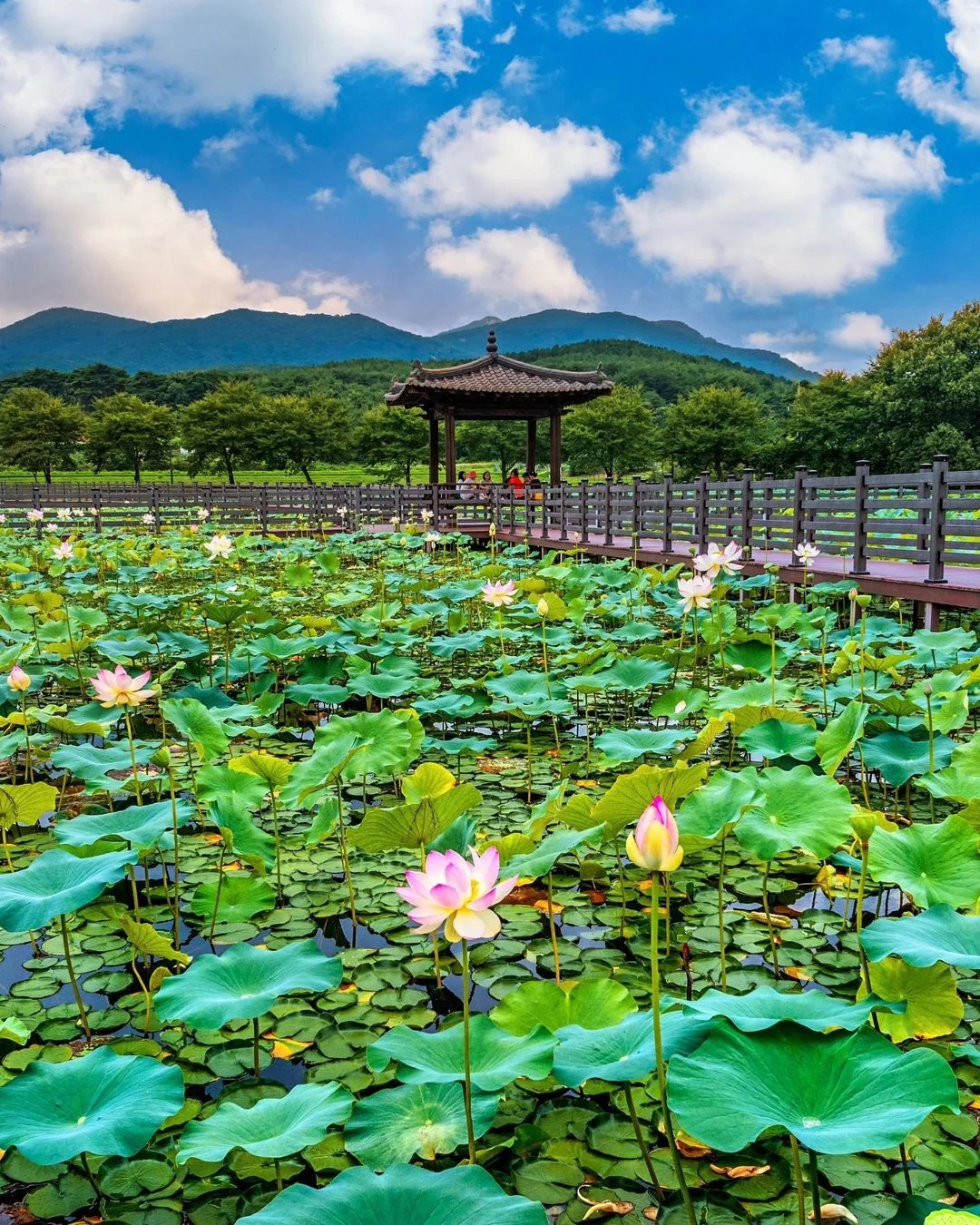 ⛩️ 하시키산 엔조지 이미지 7